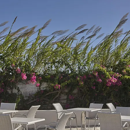 Zeus Kos Semesteranläggning (resort)